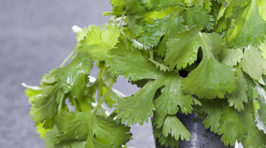 garnishing-instructions-image